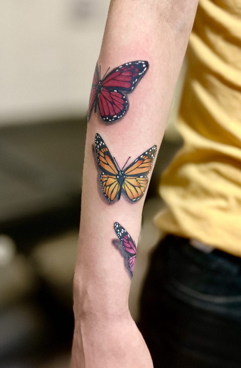 Papillon